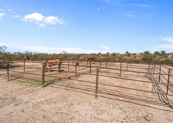 Ranch House Retreat And Horse Friendly Holiday home